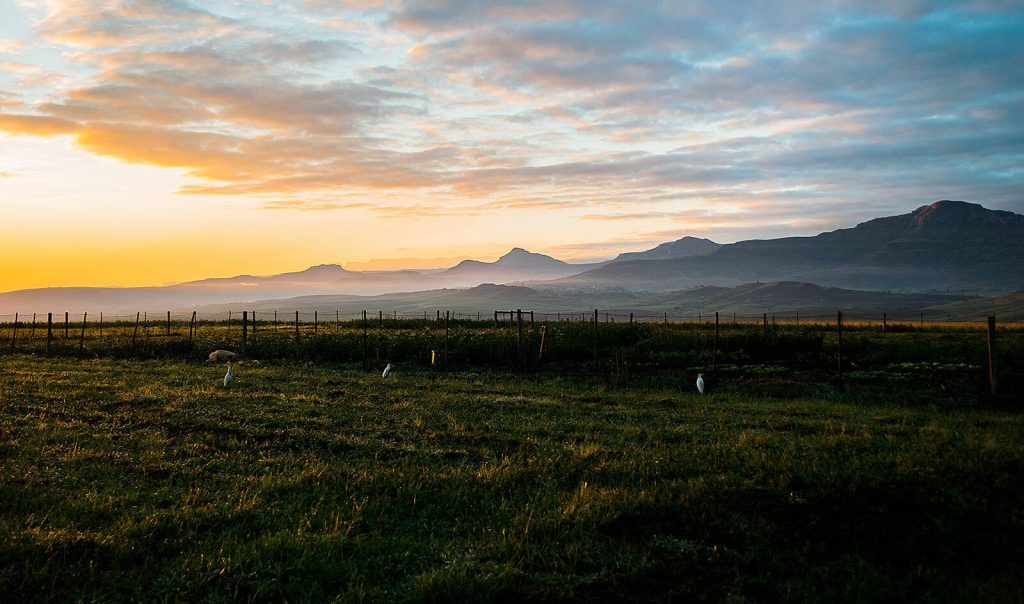 Montusi Mountain Lodge